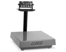 MVP Doran bench scale