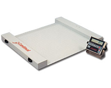 RW-500 Detecto floor scale