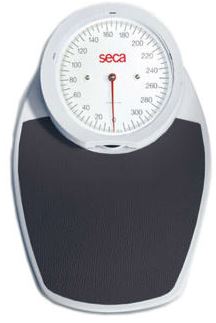 762 Seca Bathroom health scale